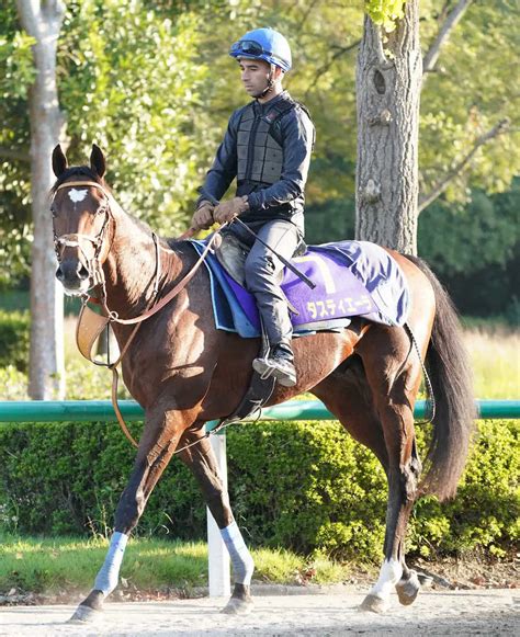 【菊花賞】（7）タスティエーラ 春の疲れはなし、陣営「リフレッシュしていい感じの雰囲気」― スポニチ Sponichi Annex ギャンブル