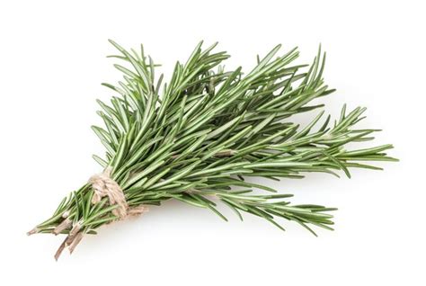 Premium Photo Fresh Rosemary Bunch Isolated On White Background