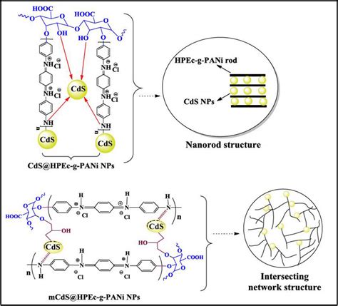 The Schematic Representation Of The Nanocomposites Download