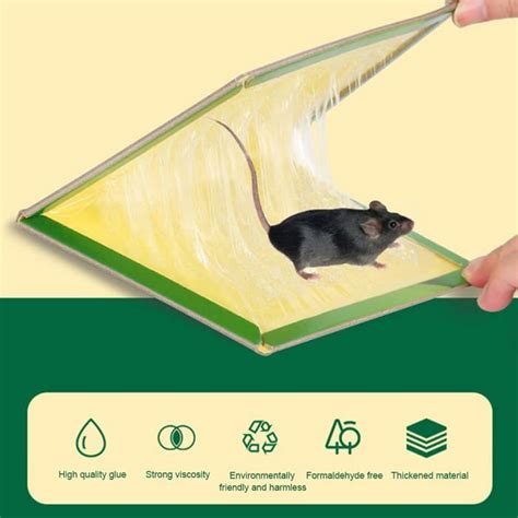 Piege A Souris Collantepiege A Rat Gluecolle Souris Pcs Glue Traps