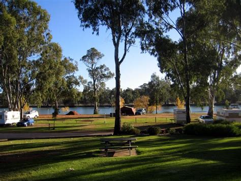 Riverside Caravan Park Robinvale Park Overview