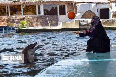 Irna English Kish Dolphin Park