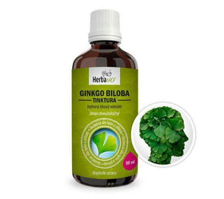 Ginkgo Biloba Mi Orz B Japo Ski Nalewka Ml Herbavis