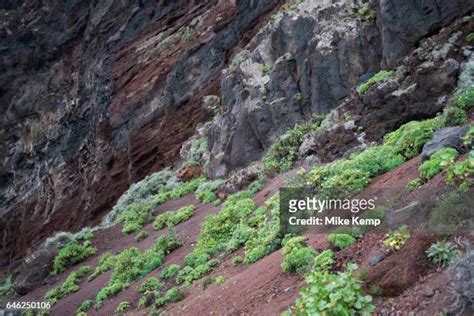 La Palma Arizona Photos And Premium High Res Pictures Getty Images