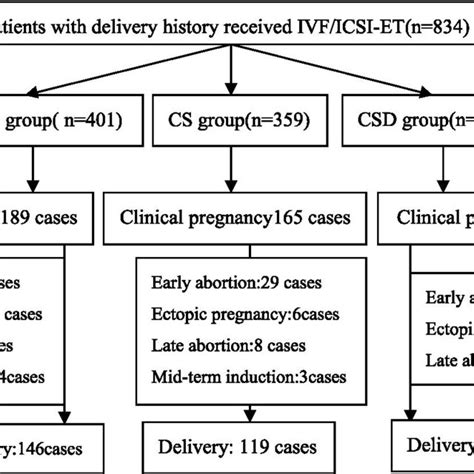 Flowchart Of Reproductive Outcomes After Ivf Icsi Et Download