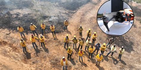 Michoacán Emplea 15 Drones En El Combate A Incendios Forestales