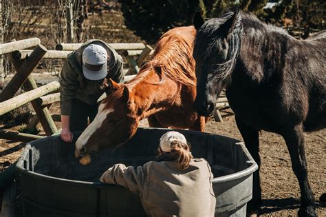 Forrest - Crystal Peaks Youth Ranch