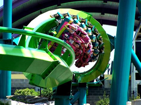 Hydra The Revenge Coasterpedia The Roller Coaster And Flat Ride Wiki