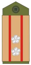 Lieutenant Colonel