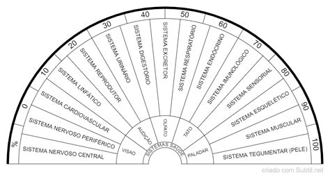 Subtil Bi Metro Sistemas