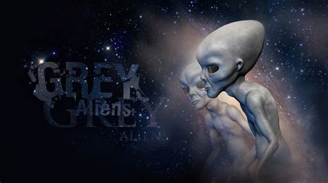 Reptilianos Grises Y Pleyadianos Conoce A Las Razas Extraterrestres