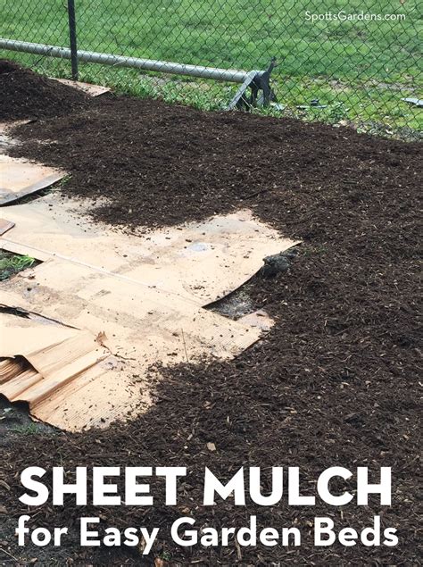 Sheet Mulch For Easy Garden Beds Spotts Garden Service