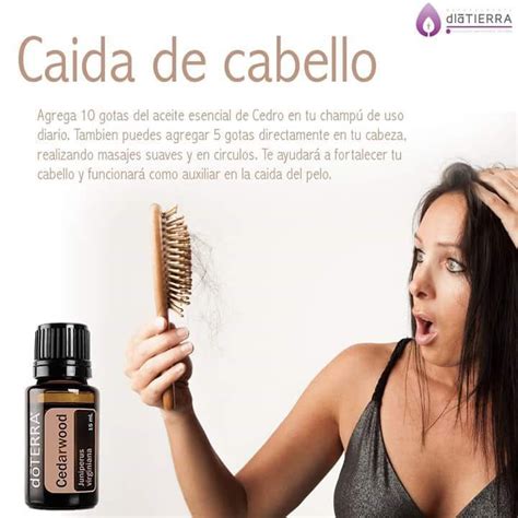 Pin de Ale Gtz en dōTERRA Aceite esencial de cedro Guía de aceites