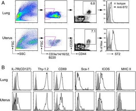 Il 33 Responsive Group 2 Innate Lymphoid Cells Are Regulated By Female