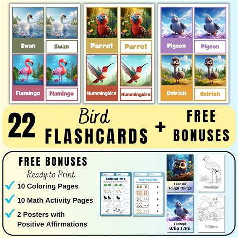 22 Bird FLASH CARDS, Montessori Flashcards, Pre-school Flashcards ...