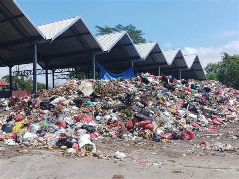 Gambar Tps Sampah 57 Koleksi Gambar