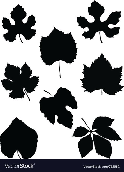 Grape leaf Royalty Free Vector Image - VectorStock