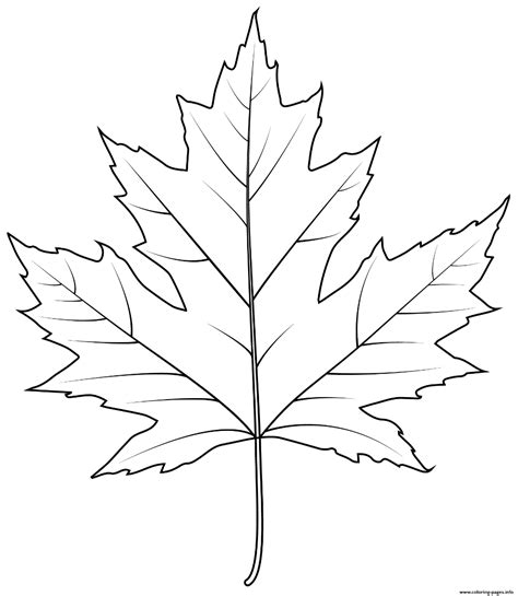 Maple Leaf Printout