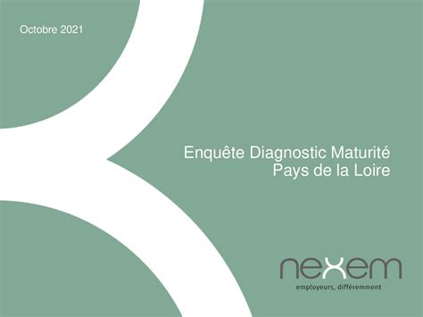 Calaméo Enquête Diagnostic Maturité Ssi Nexem Pdl102021