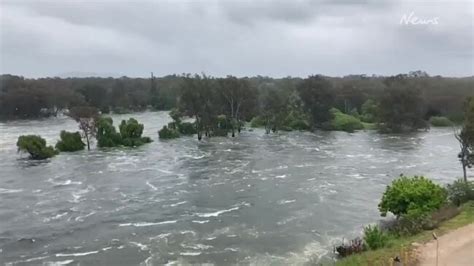 Murray River Flooding News Au Australias Leading News Site