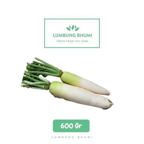 Jual Lumbung Bhumi Lobak Putih Gr Sayur Curah Shopee Indonesia