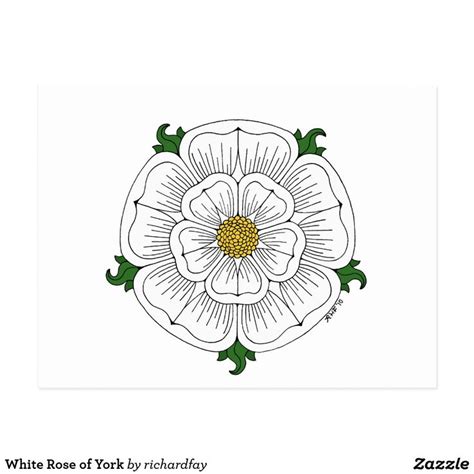 White Rose of York Postcard | Zazzle | White roses, Postcard, Wars of the roses