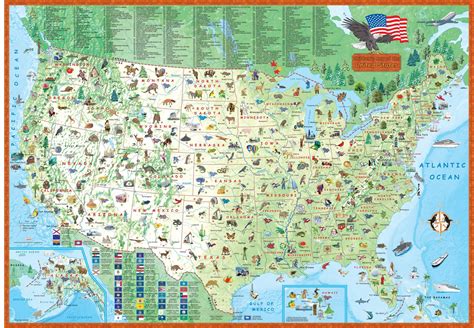 Learning United States Map