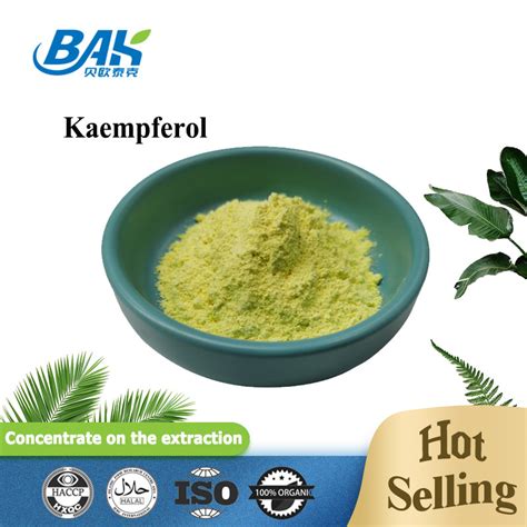 Cas 520 18 3 Immune Enhancing Supplements Kaempferol Powder 50 90 98