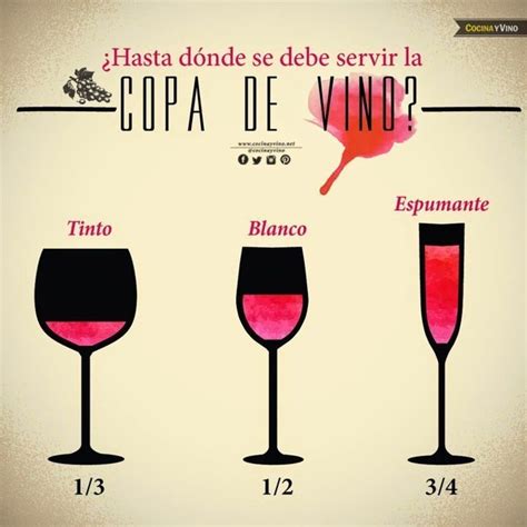 16 Datos gráficos para los amantes del vino