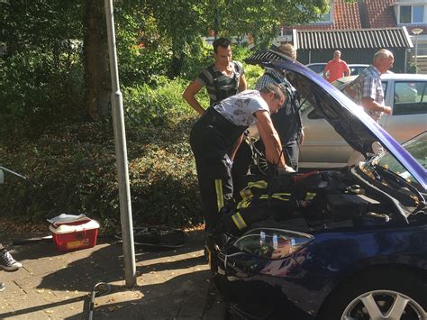 Kat Onder Motorkap Stelt Brandweer Meppel Voor Raadsel Rtv Drenthe