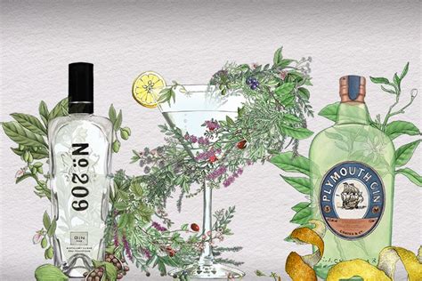 Gin Botanicals, Decoded | Wine Enthusiast Magazine