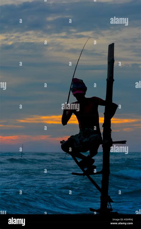 Las Siluetas De Los Pescadores Tradicionales De Sri Lanka Zancudos