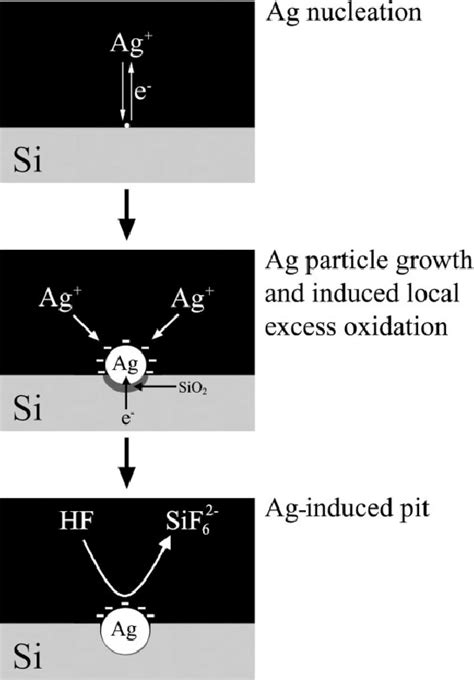 Mechanism Of Electroless Ag Deposition On A Si Substrate In HF AgNO 3