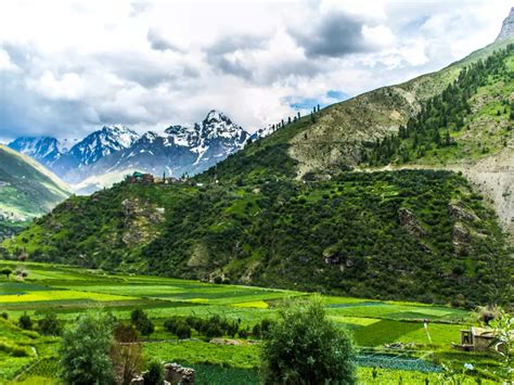 Lahaul Spiti Valley Wonders Of Lahaul Valley The Greener Side Of