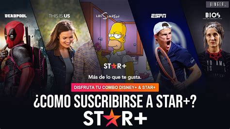 ¿cómo Puedo Acceder A Star Plus Haras Dadinco