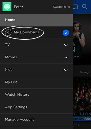 manage  downloads stan support