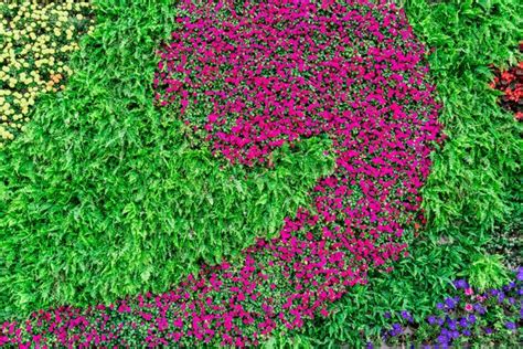 Grass Wall With Flowers Images - Free Download on Freepik