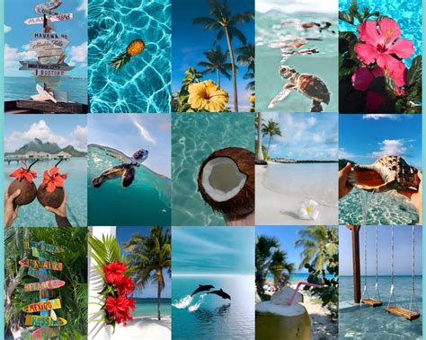 100 Coconut Girl Aesthetic Wall Collage Kit Summer Beach Etsy