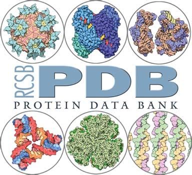 The Evolution Of The Rcsb Protein Data Bank Website Bourne