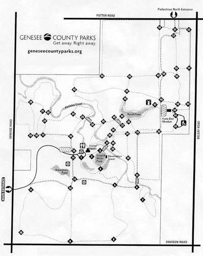 For Mar Nature Preserve And Arboretum