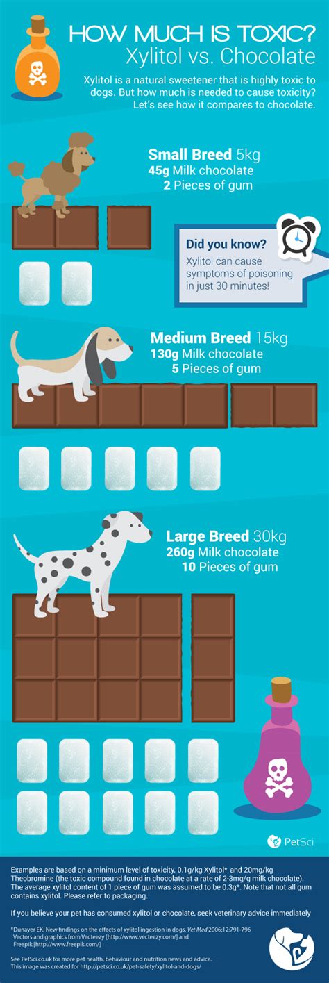 How Do You Treat Xylitol Poisoning In Dogs