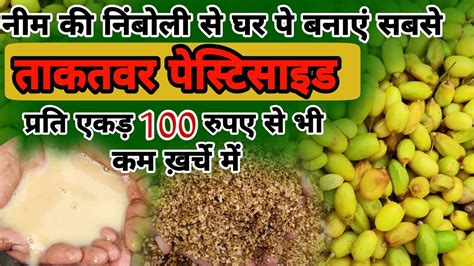 100 Organic Neem Pesticide Nske नीम से शक्तिशाली कीटनाशक बनाने की