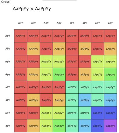 A Pea Plant Is Heterozygous For Three Genes Aa Pp Yy Axial Flower