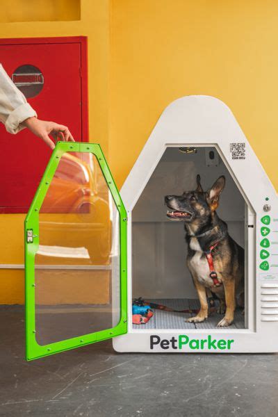 Whats New At Petparker Western Grocer