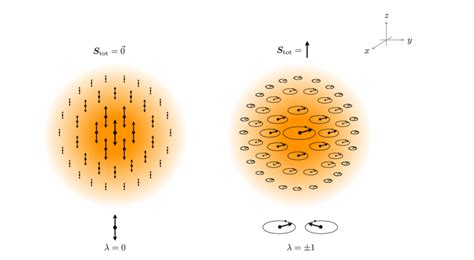 A Visualization Of The Two Distinct Extremally Polarized Vector