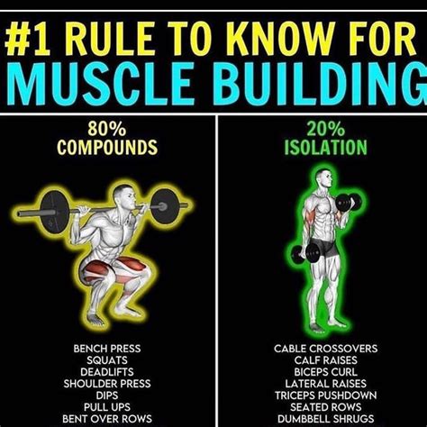 An Info Poster Showing The Benefits Of Muscle Building