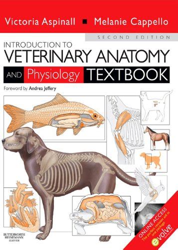 Introduction To Veterinary Anatomy And Physiology E Book EBook