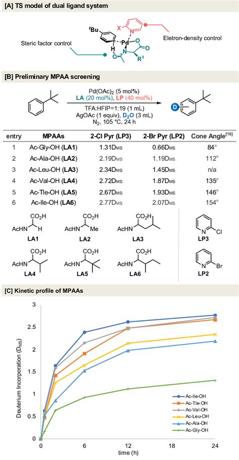 Dual ligand system enabled HIE of tert-butylbenzene. (A) Key model ...