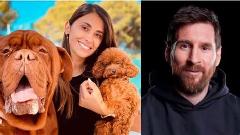 La Angustia De Lionel Messi Por Su Perro Hulk Que No Pudo Viajar Con