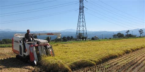 【稲作体験会】新潟・十日町市の高齢化集落で田んぼを守るチカラになる新潟県十日町市 移住支援と地域情報 Smoutスマウト